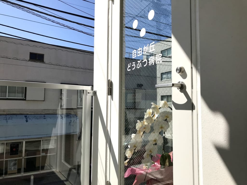 世田谷区九品仏に新しくどうぶつ病院オープン