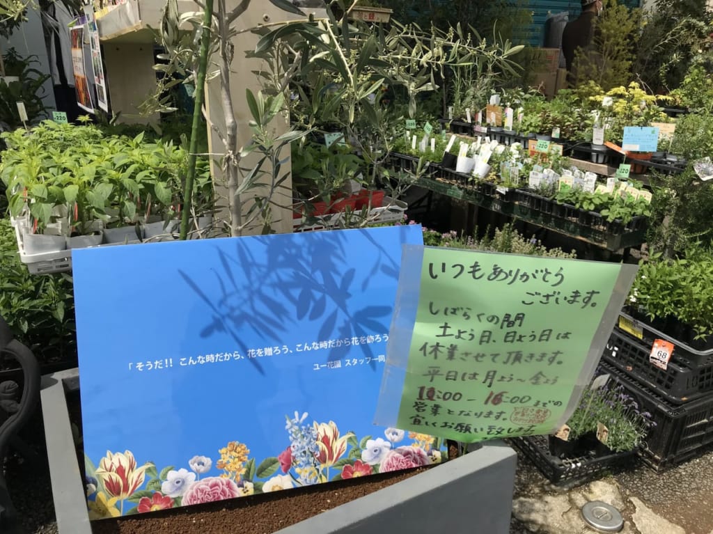 世田谷区ユー花園