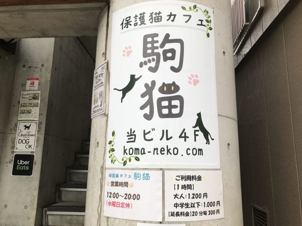 世田谷区駒猫保護猫カフェ