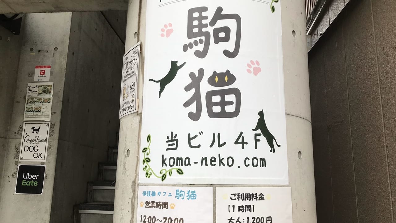 世田谷区駒猫保護猫カフェ