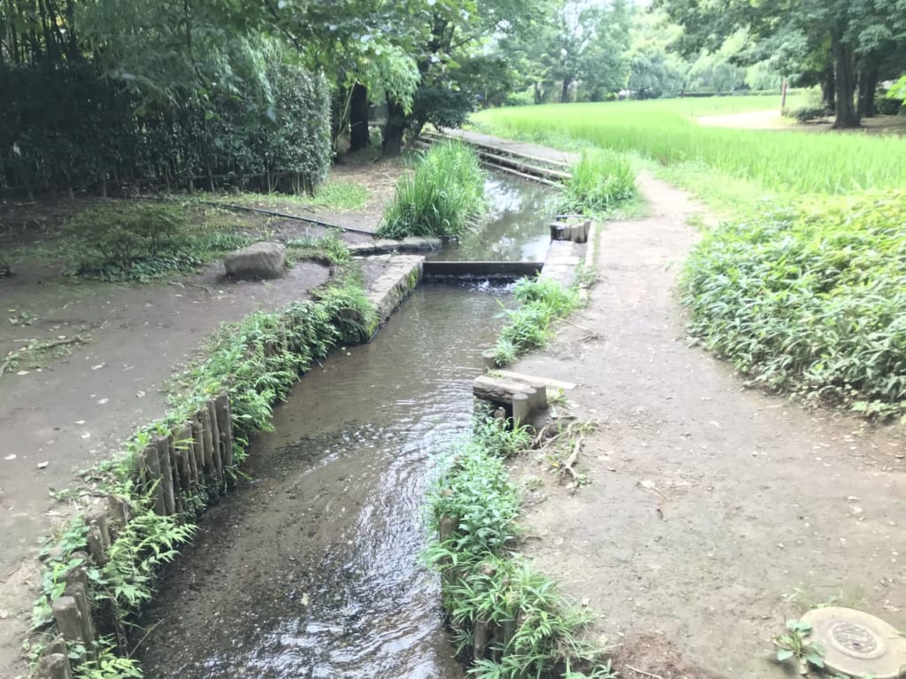 世田谷区次太夫堀公園