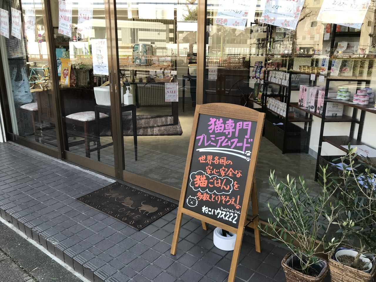 世田谷区用賀ねこハウス２２２オープン