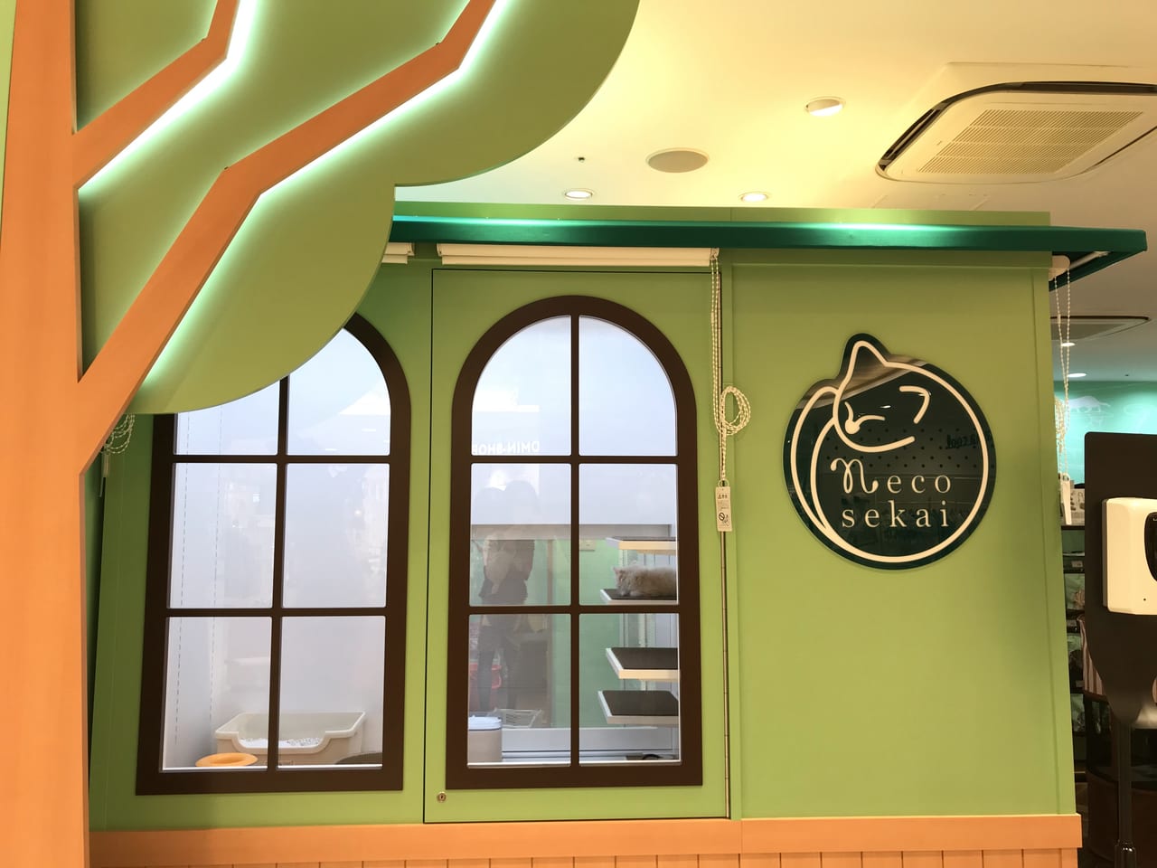 世田谷区二子玉川ライズドッグウッドプラザ「ネコセカイ二子玉川店」グランドオープン
