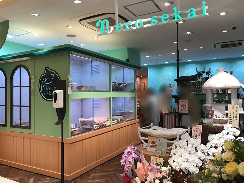 世田谷区二子玉川ライズドッグウッドプラザ「ネコセカイ二子玉川店」グランドオープン