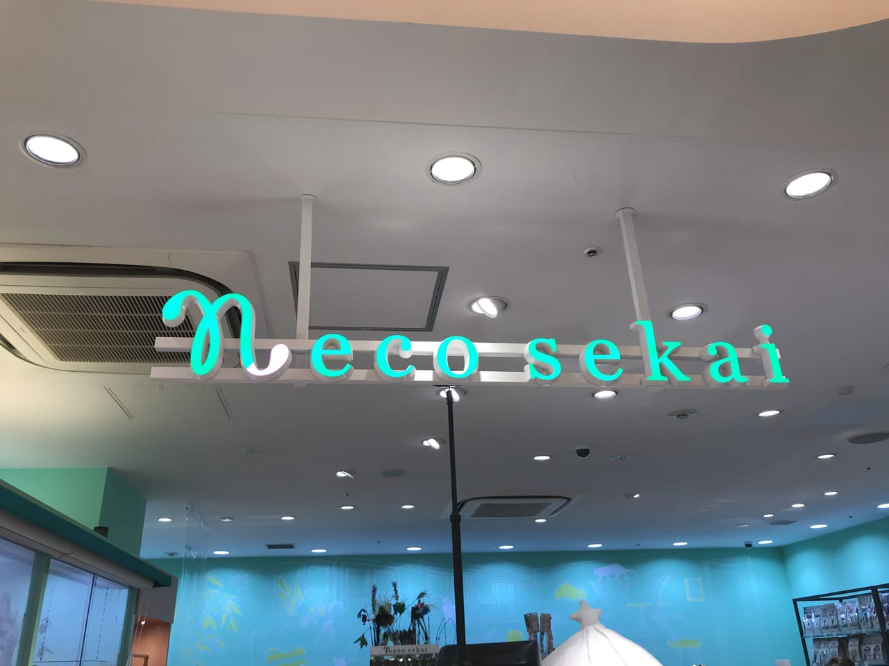 世田谷区二子玉川ライズドッグウッドプラザ「ネコセカイ二子玉川店」グランドオープン