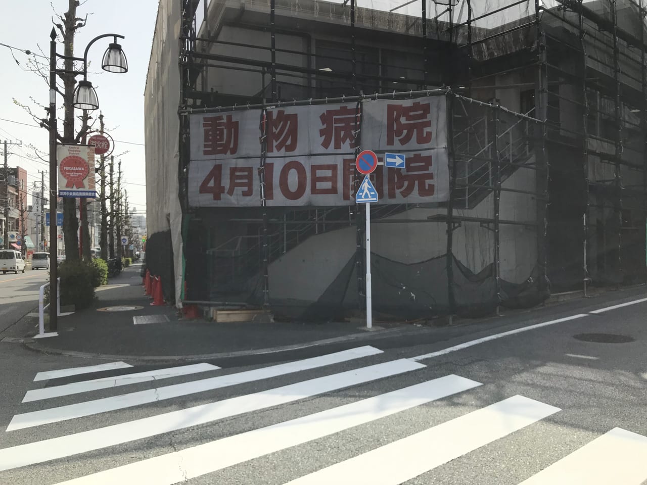 世田谷区駒沢公園通りファニメディック動物医療グループ4月10日開院