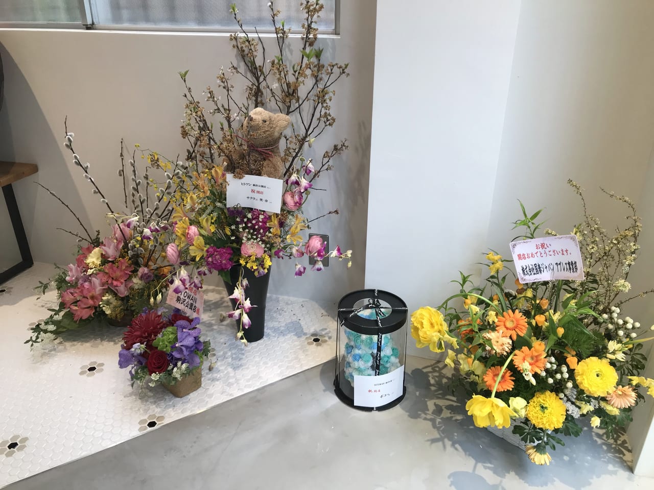 世田谷区手作りわんちゃんフードのHITO WAN（ヒトワン）駒沢公園店オープン