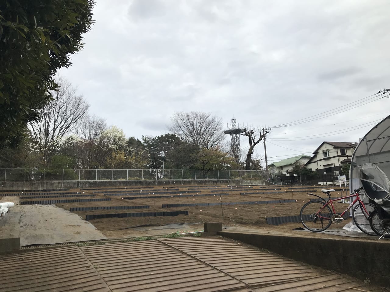 世田谷区シェア畑上野毛