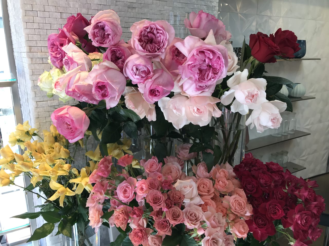 setagaya_todoroki_ROSETIQUEbyMiwako_open