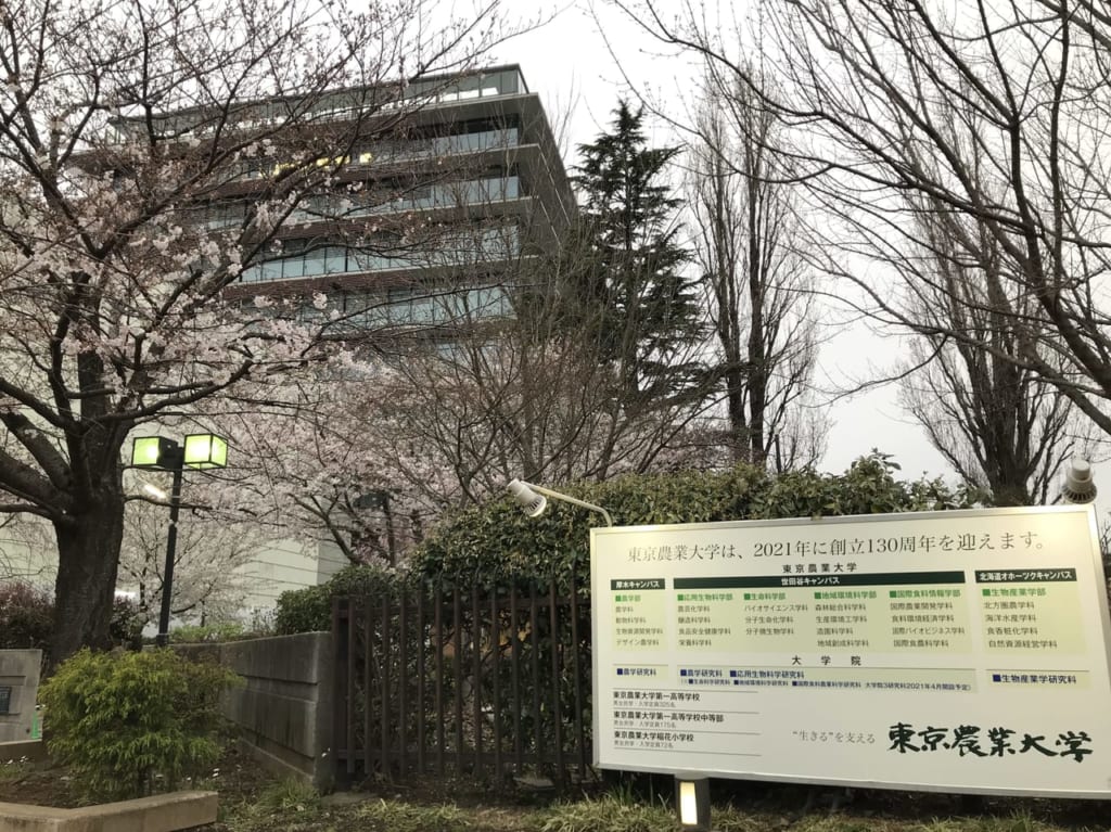 世田谷区東京農業大学キャンパス工事中