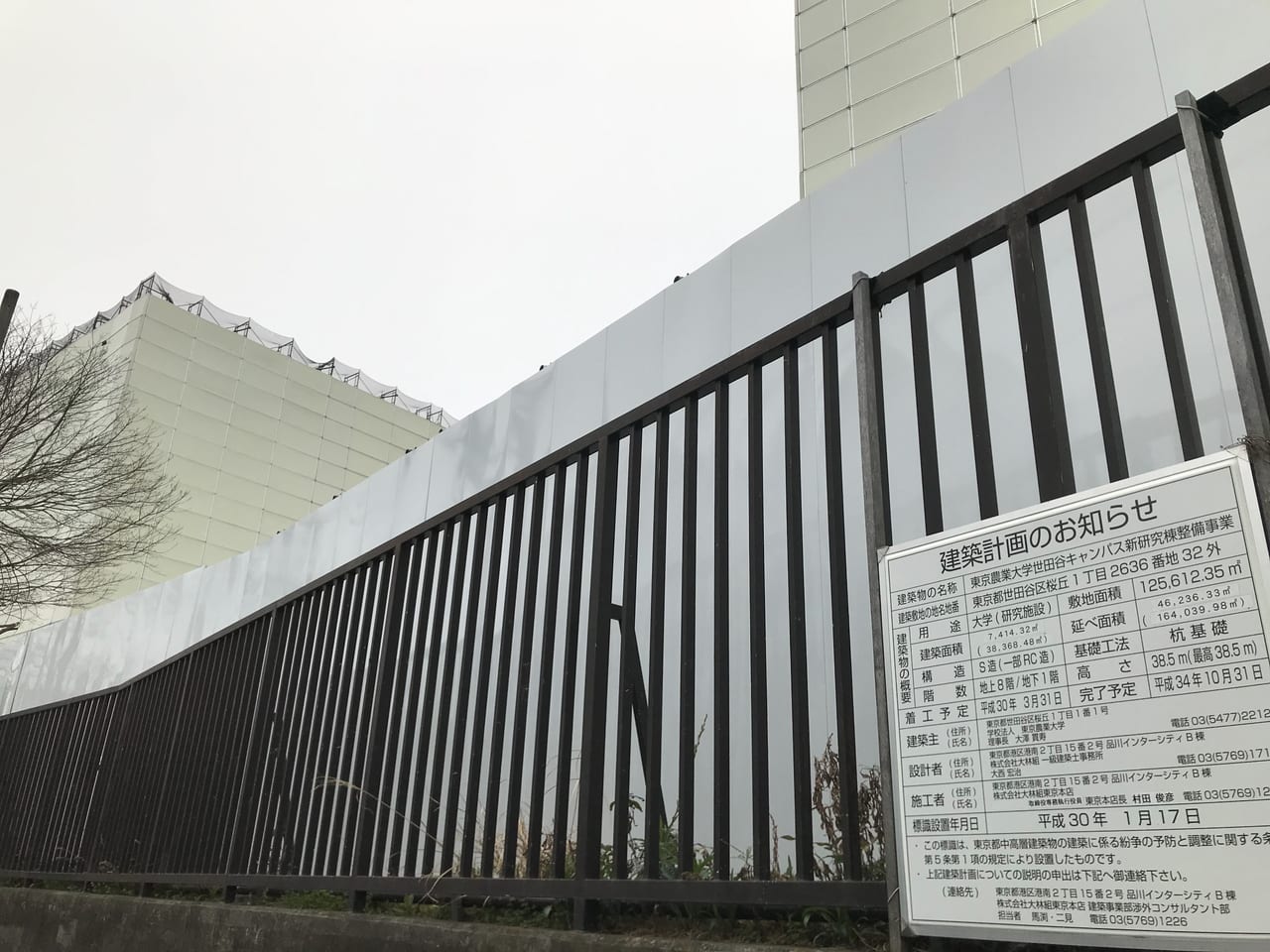 世田谷区東京農業大学キャンパス工事中