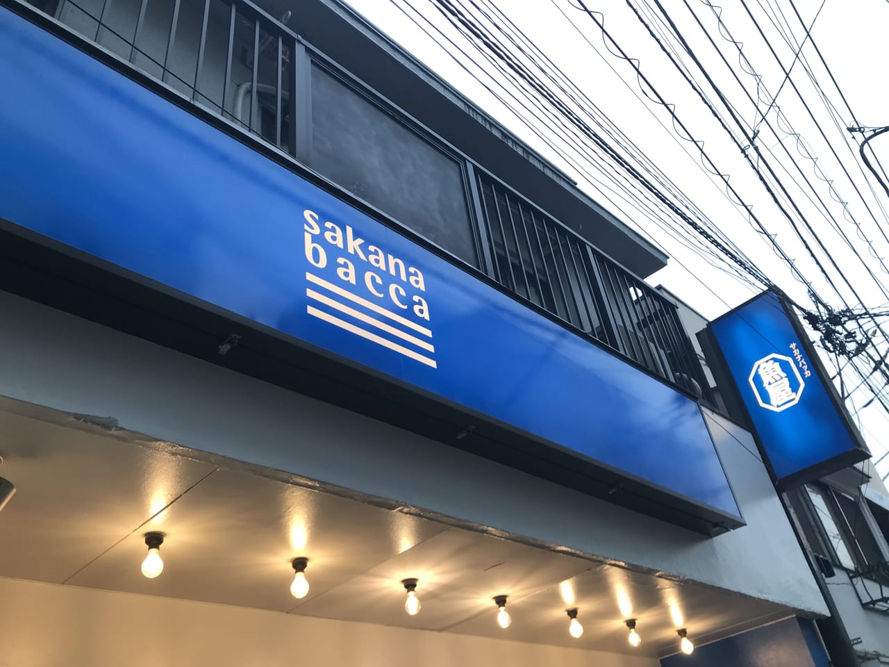 世田谷区サカナバッカ豪徳寺店が2021年7月2日オープンしました。