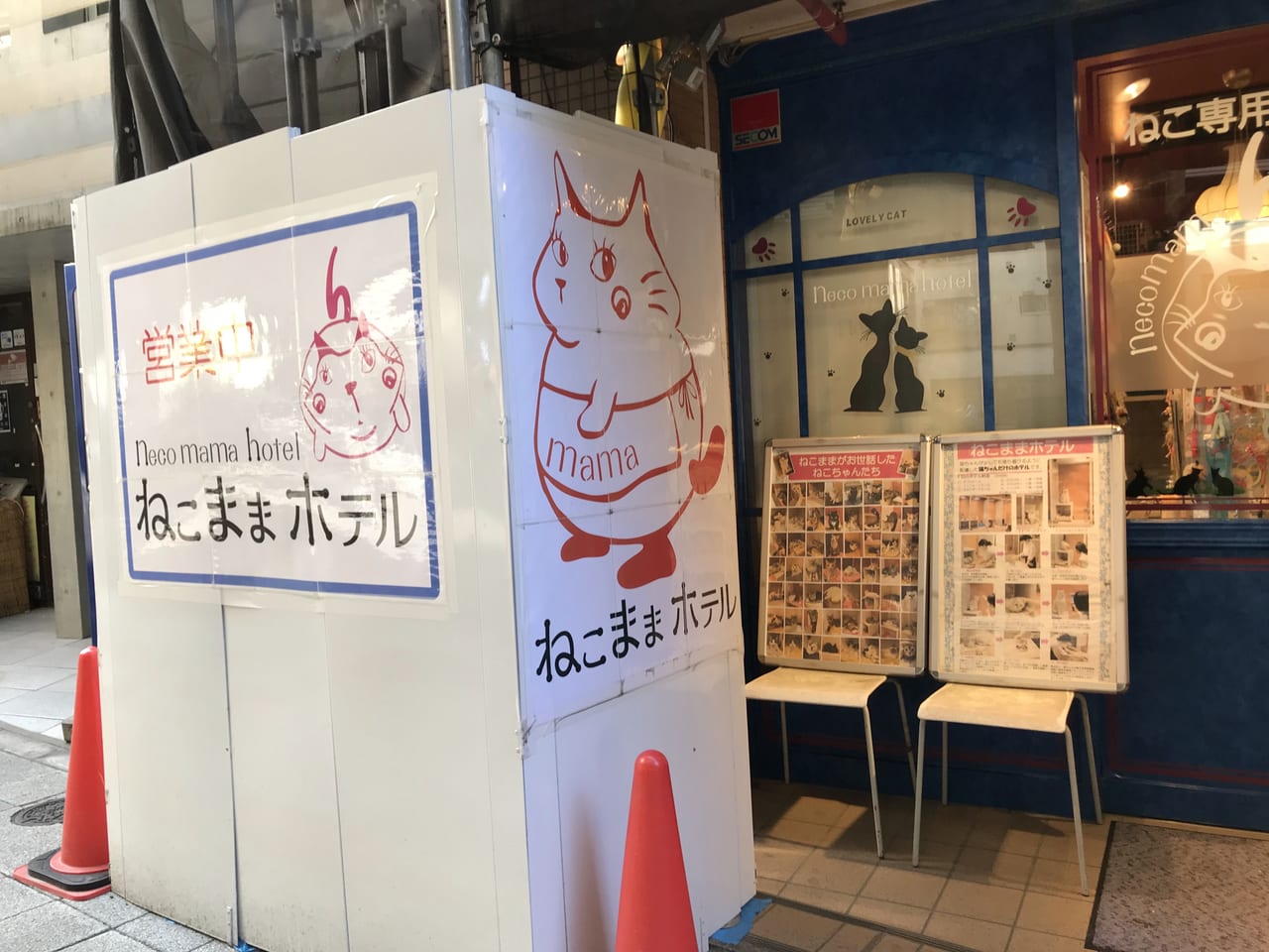 世田谷区池尻猫専用ホテル＆ショップのねこままホテルはケージじゃない個室で安心できます。