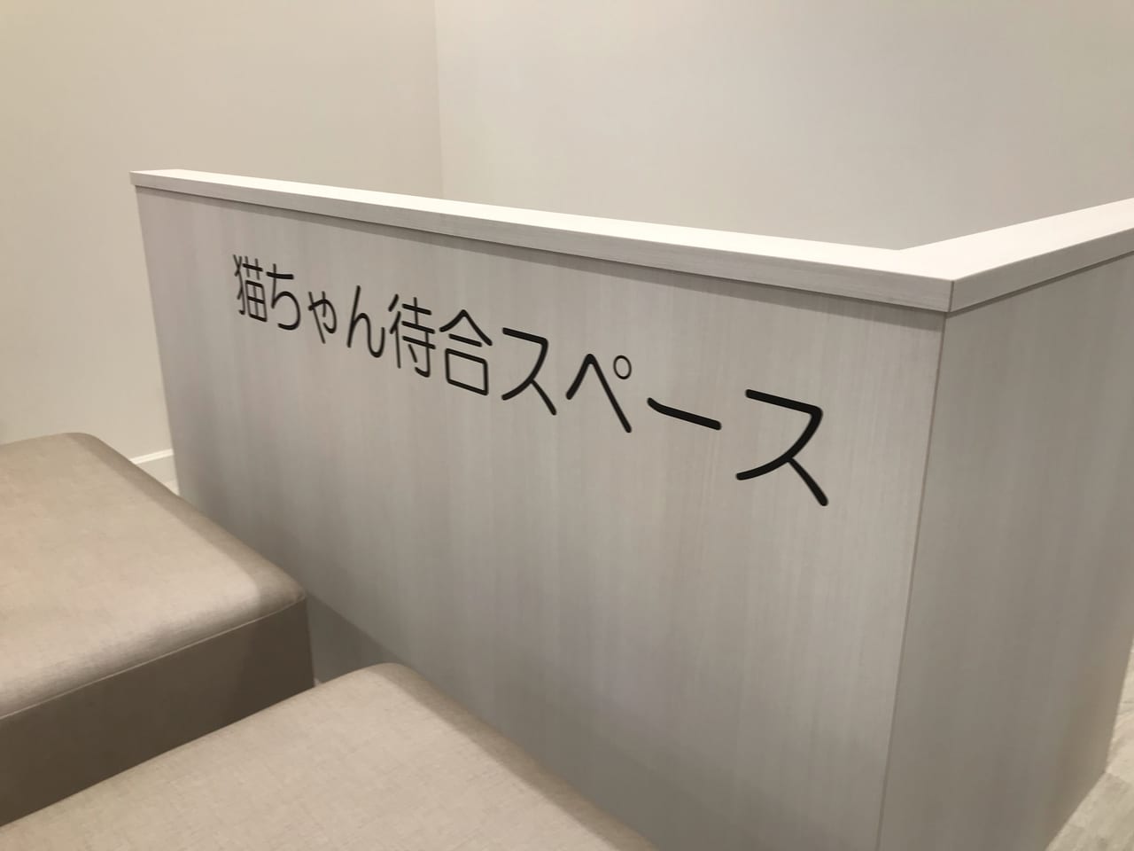 世田谷区ペットのコジマソコラ用賀店が2021年9月4日グランドオープンしました！