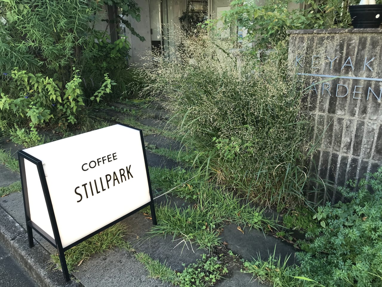世田谷区玉川田園調布のSTILLPARKはコーヒーとレコードとプラントのカフェです。