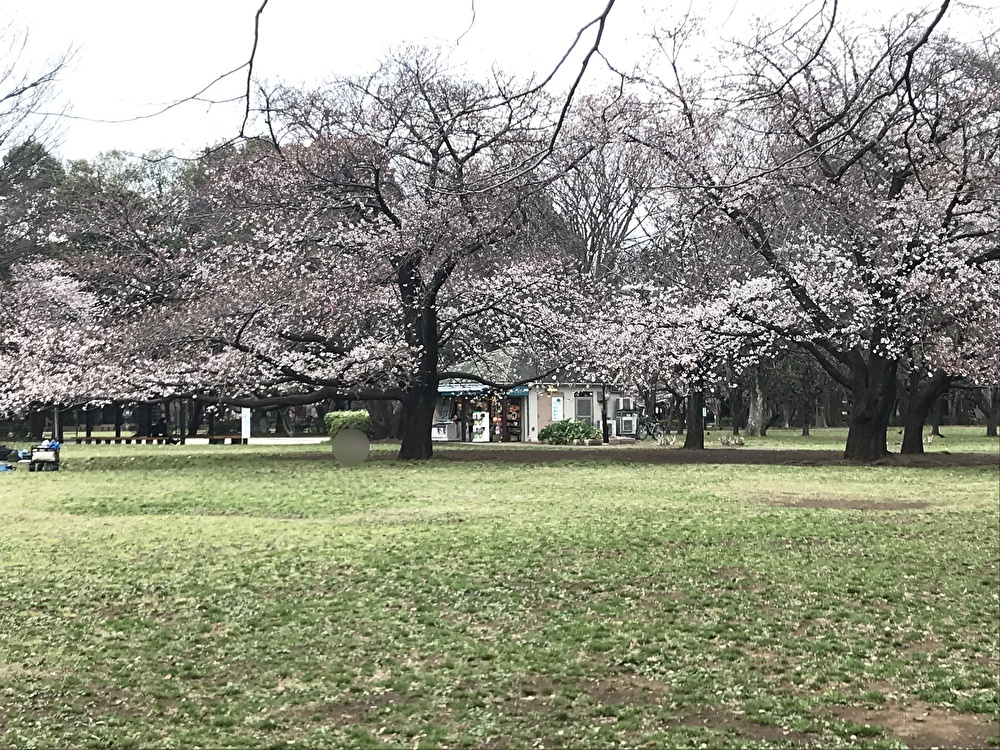 世田谷美術館で「出版120周年ピーターラビット展」が2022年3月26日〜6月19日まで開催です。