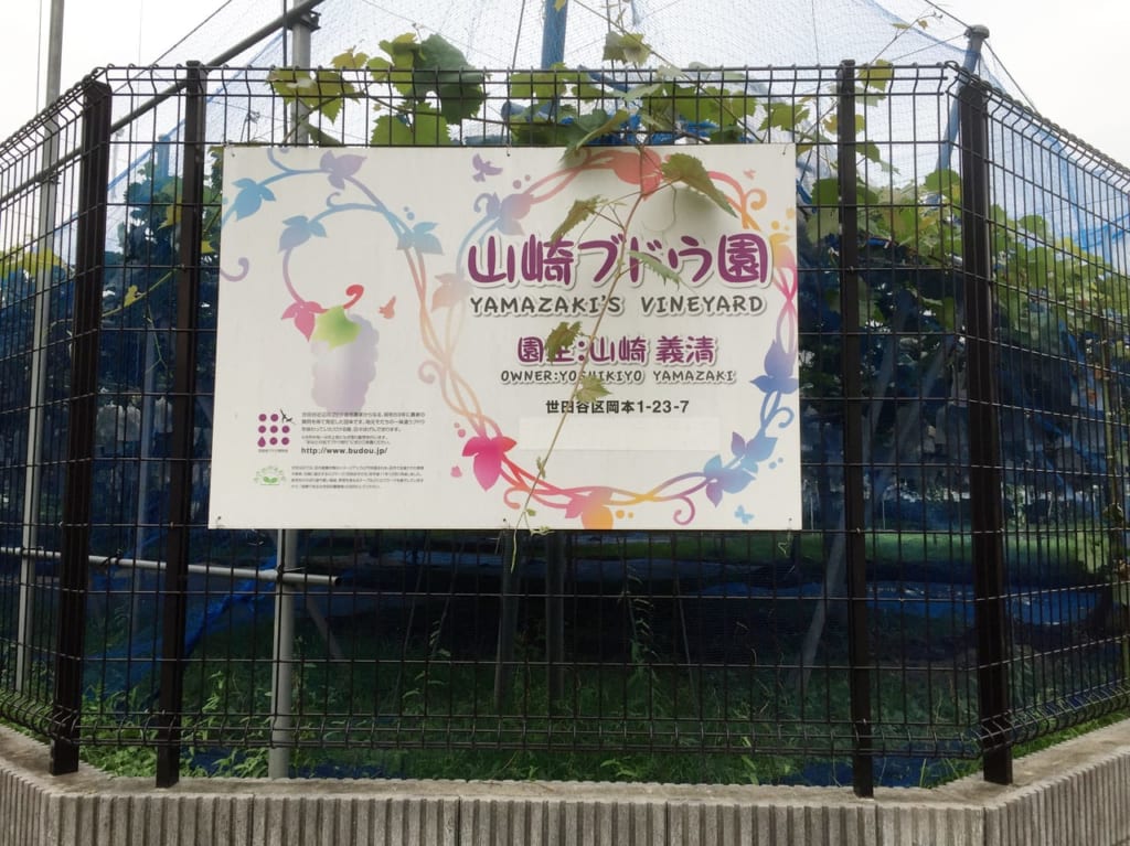 20220806 山崎ぶどう園の看板