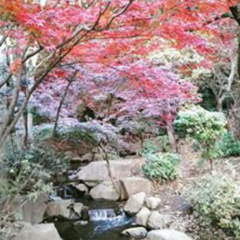 【世田谷区】元旦は次大夫堀公園民家園・岡本公園民家園で昔のお正月遊びしませんか?コマ、羽根つき、竹馬、書き初め体験など。 世田谷区 【世田谷区】元旦は次大夫堀公園民家園・岡本公園民家園で昔のお正月遊びしませんか?コマ、羽根つき、竹馬、書き初め体験など。 世田谷区