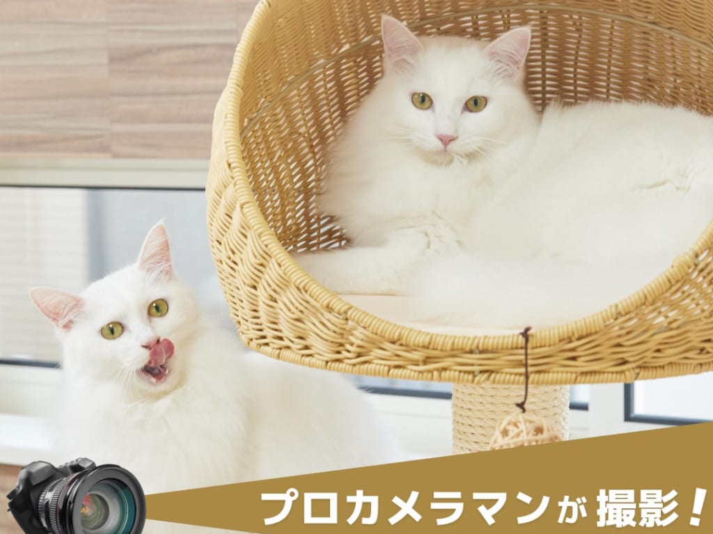 20230430 SUMIKA
