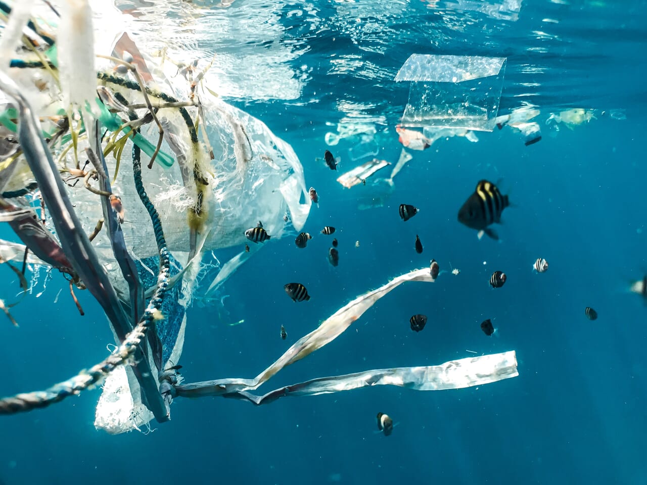 20240116 海洋プラスチックゴミ