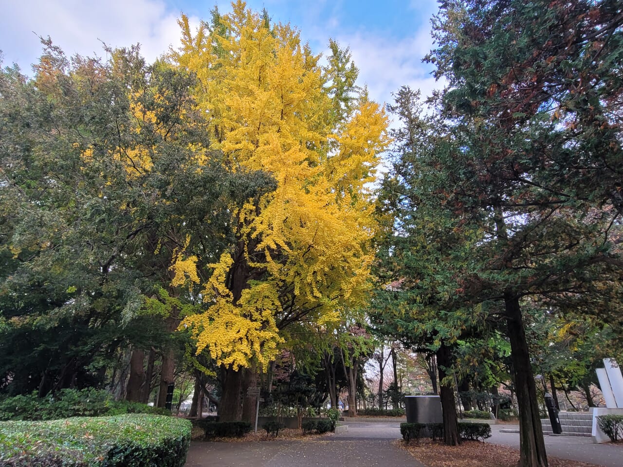 20231127 砧公園 世田谷美術館