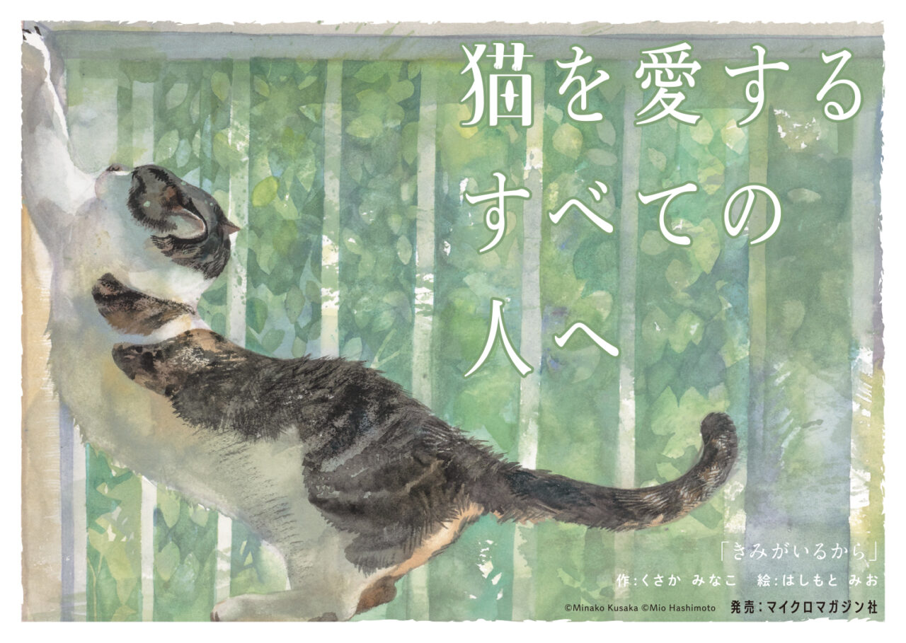 猫本専門店「Cat's Meow Books」三軒茶屋