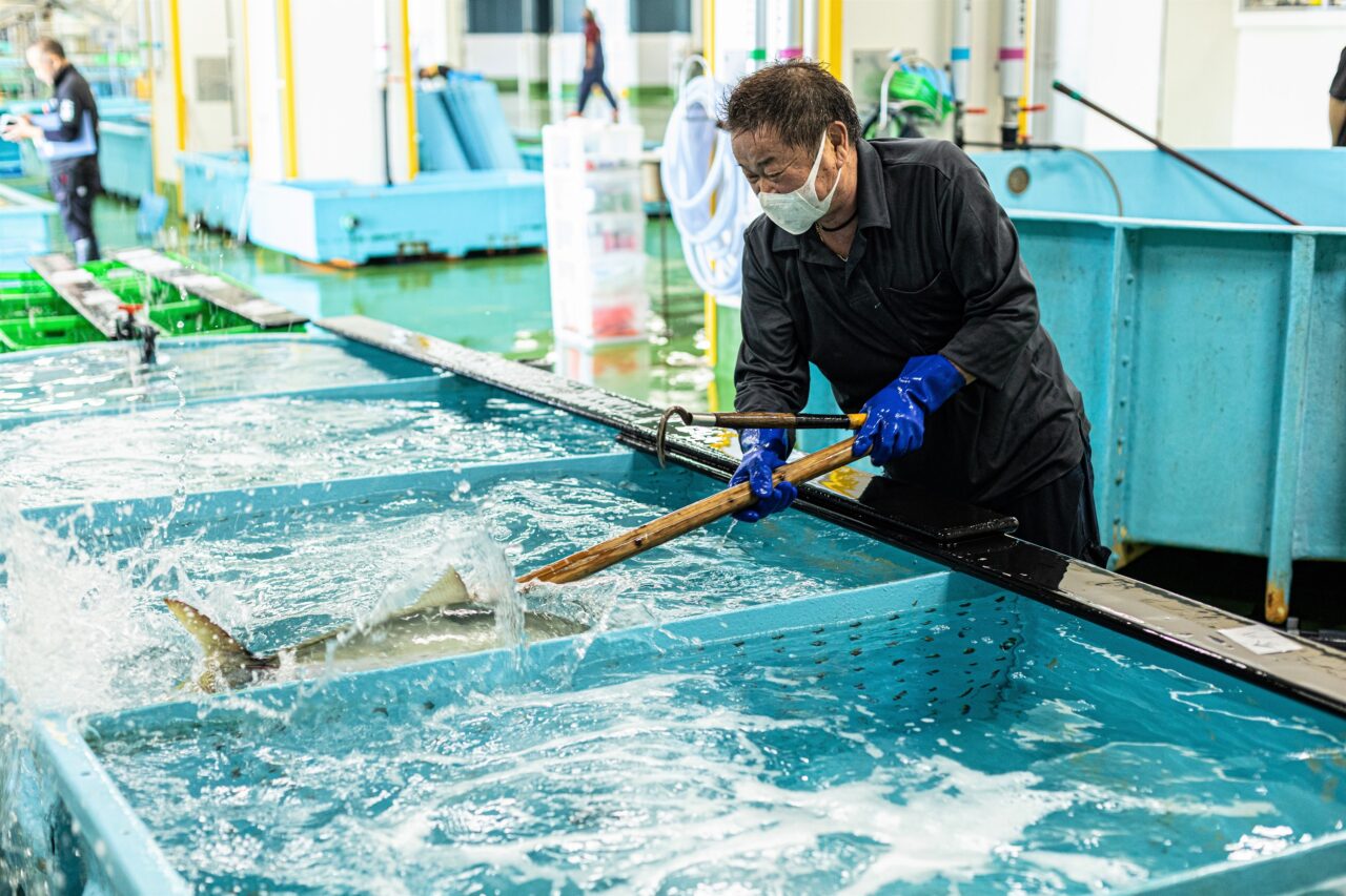 20250103 いまがわ食堂 祖師ヶ谷大蔵