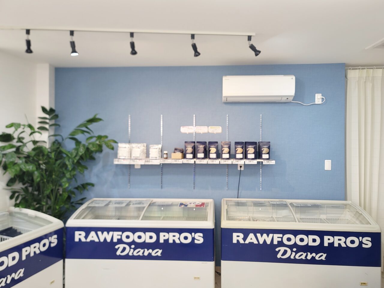 20250408 rawfood pro's Diara ペットフード 駒沢