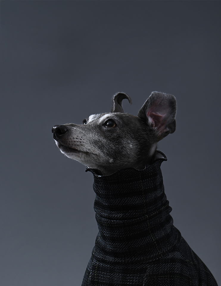 20250502 THE DOG™ Salon Setagaya Park 下馬