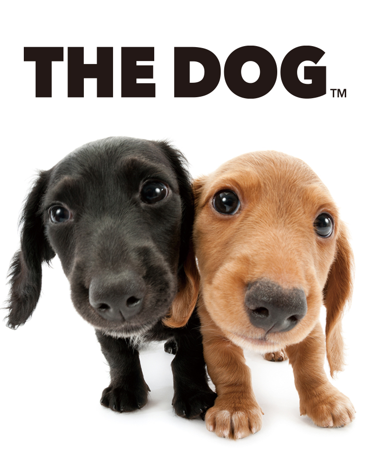 20250502 THE DOG™ Salon Setagaya Park 下馬
