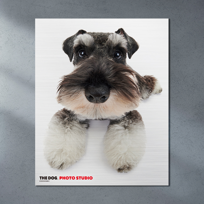 20250502 THE DOG™ Salon Setagaya Park 下馬