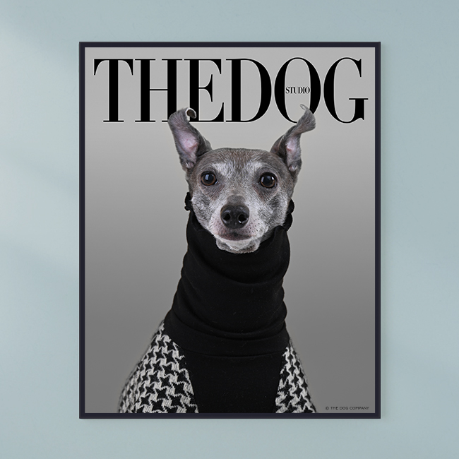 20250502 THE DOG™ Salon Setagaya Park 下馬