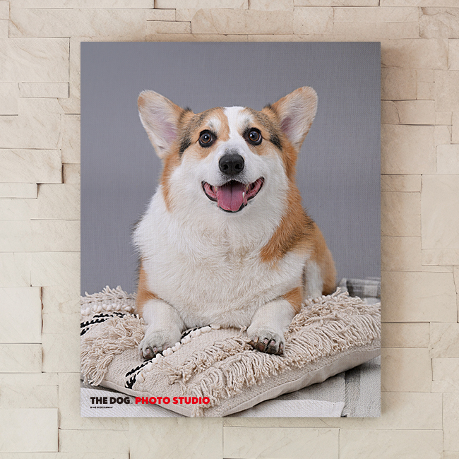 20250502 THE DOG™ Salon Setagaya Park 下馬
