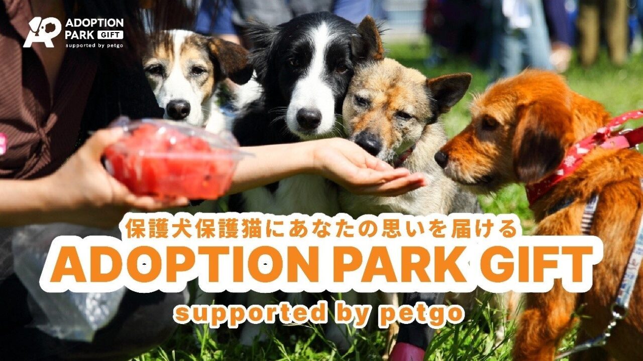 20250505 ADOPTION PARK GIFT ペットゴー