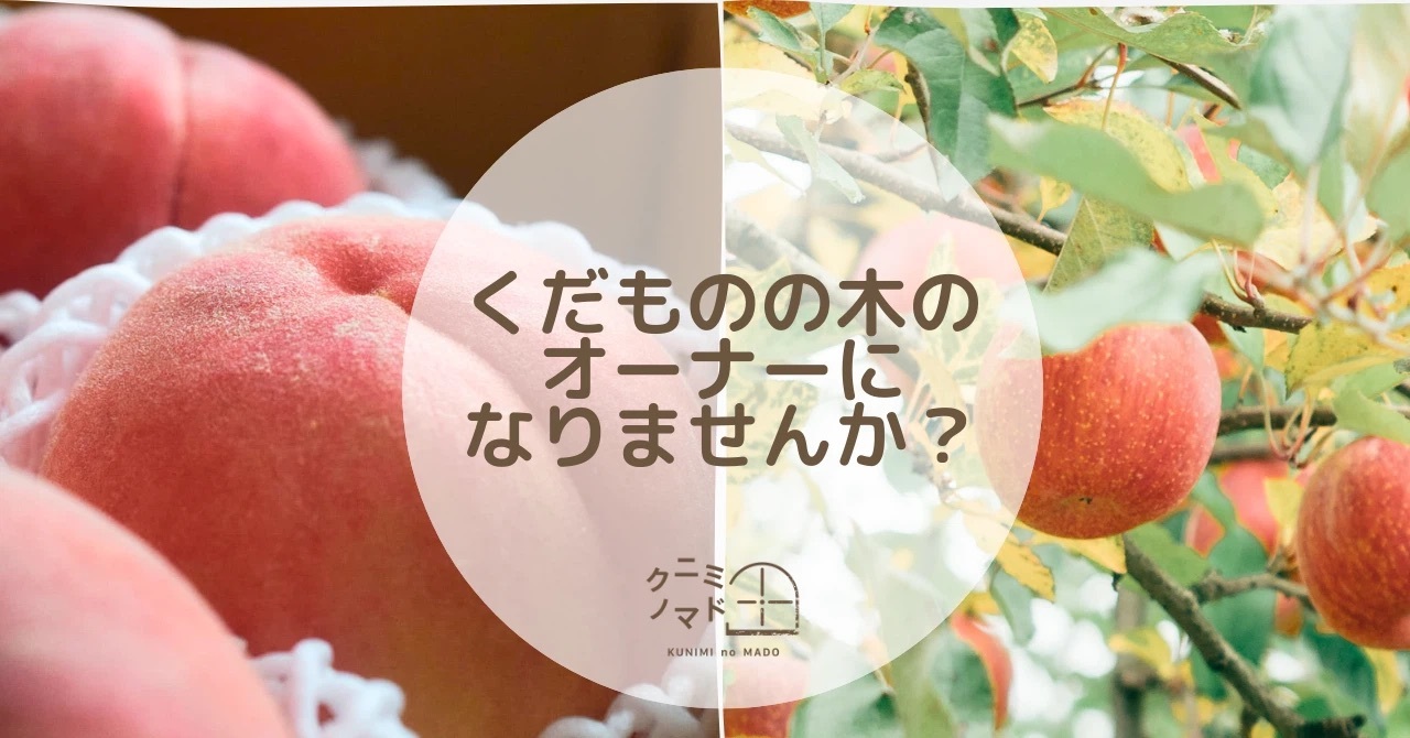 20250518 福島県国見町 クニミノマド 果物の木オーナー制度
