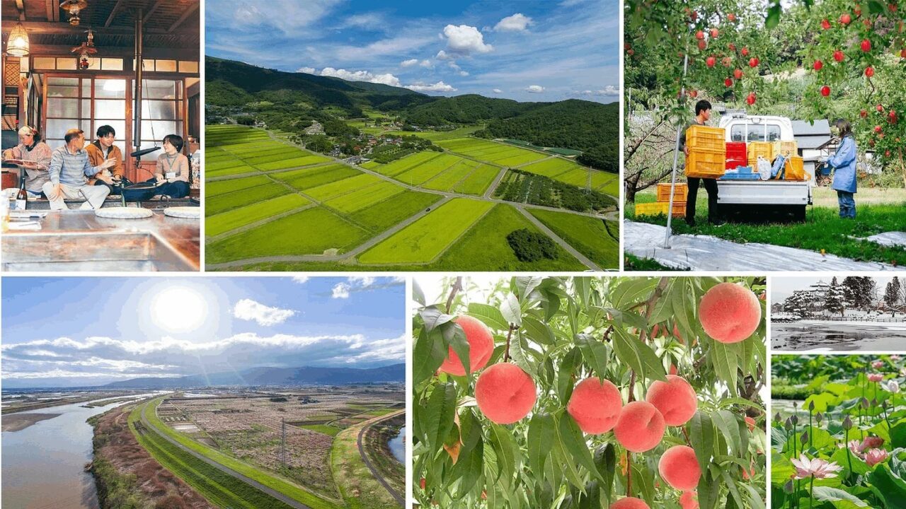20250518 福島県国見町 クニミノマド 果物の木オーナー制度