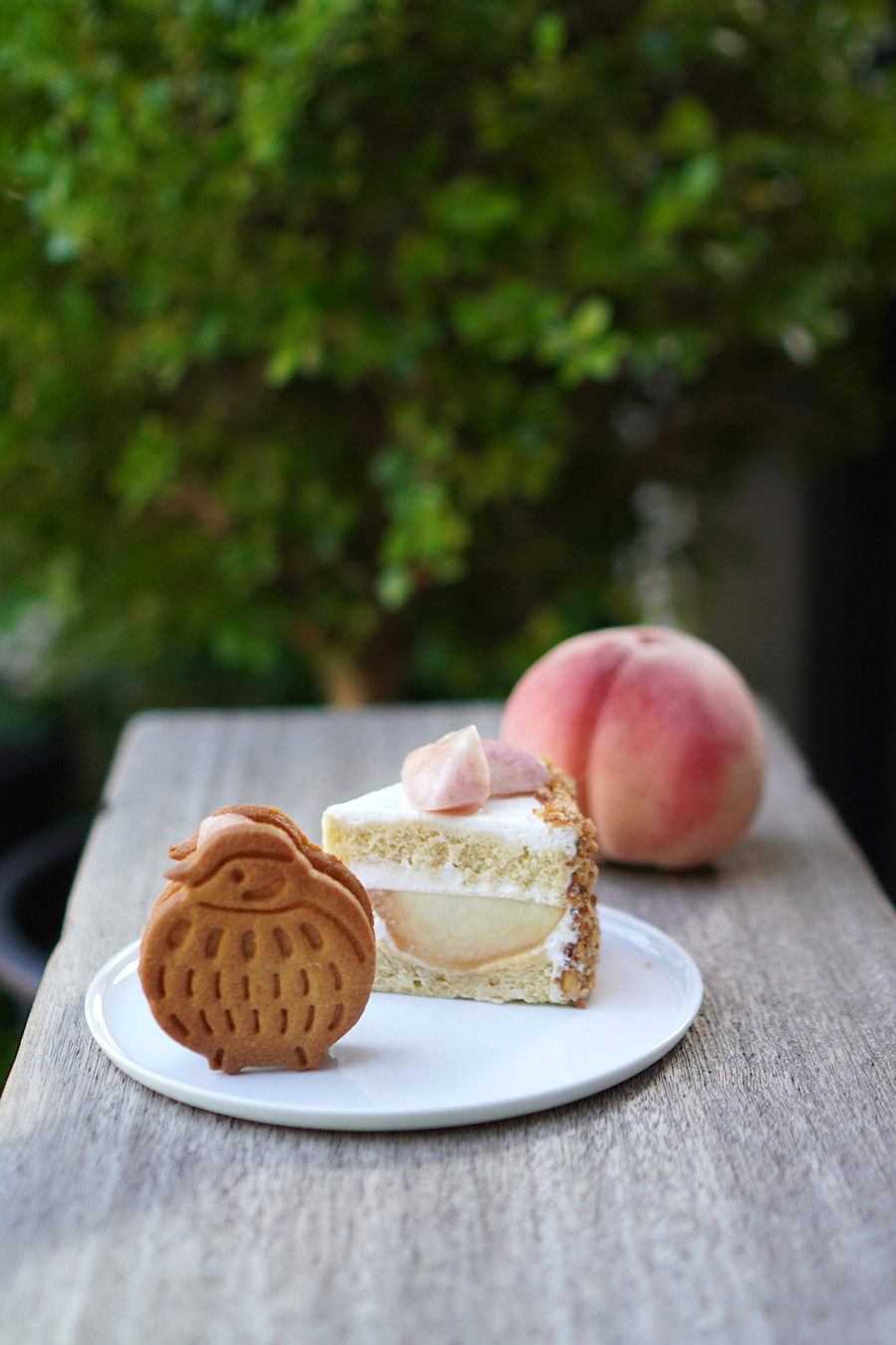 20250730 nomaru bake 三軒茶屋