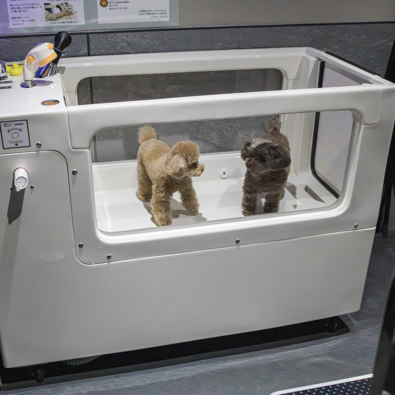20250830_self_dogspa_kyodo_