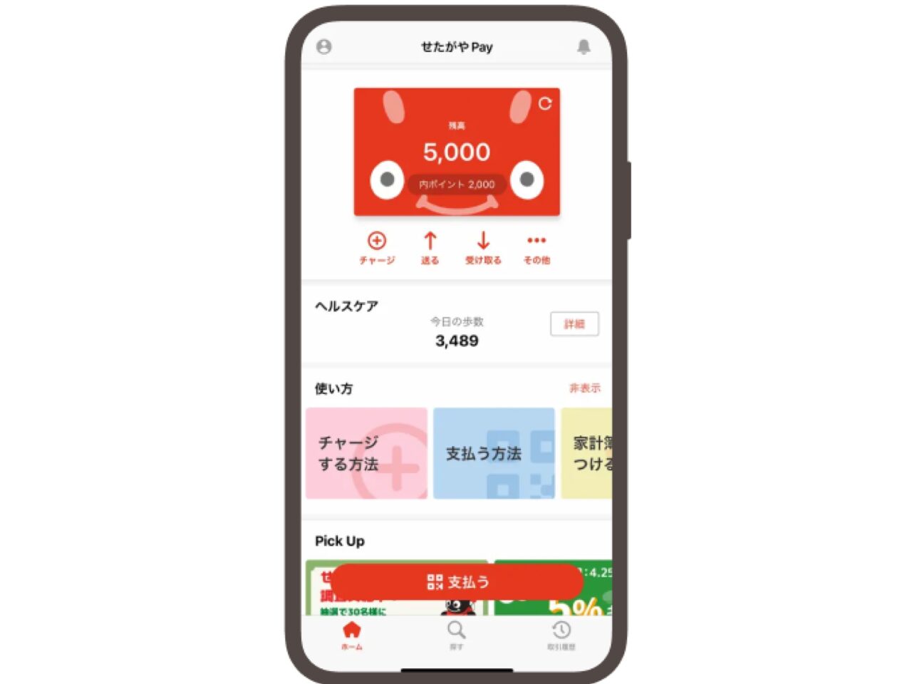 20231025 せたがやpay