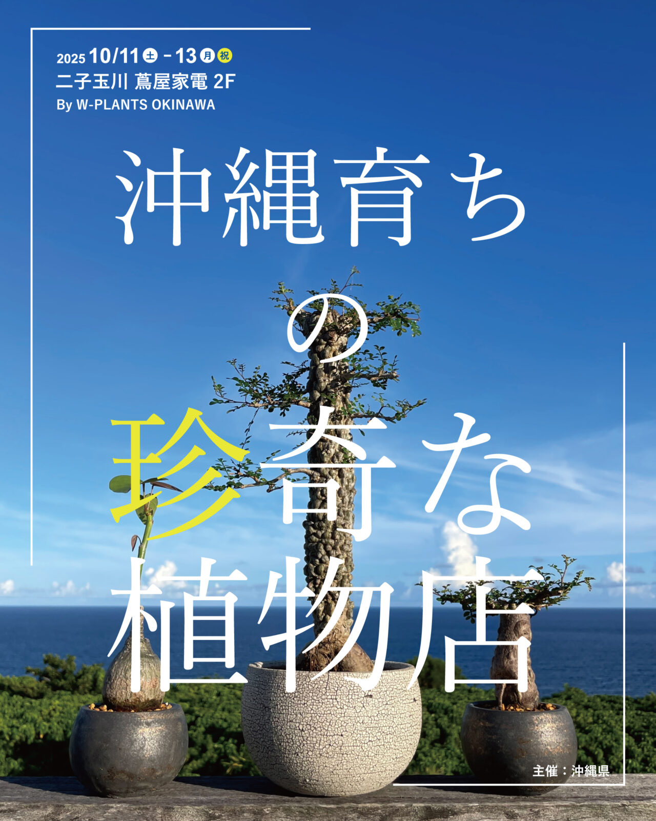 20251008 沖縄 W PLANTS 蔦屋家電 二子玉川
