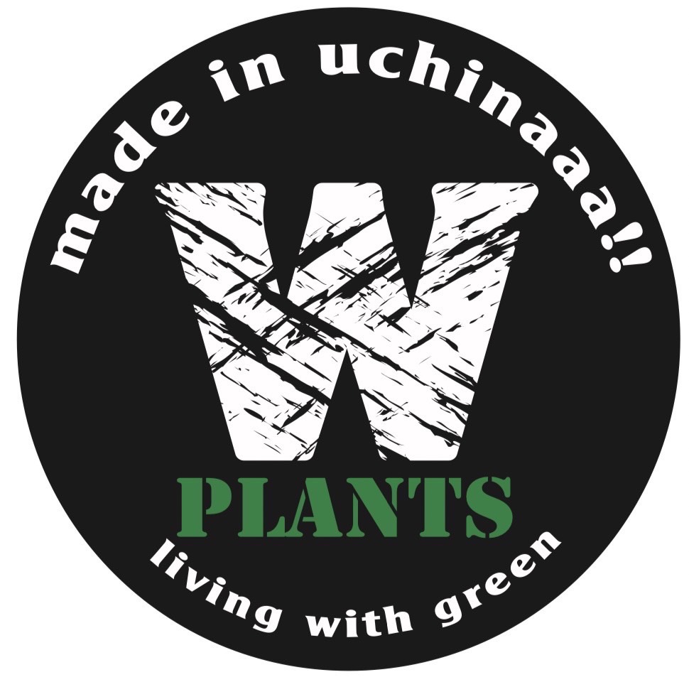 20251008 沖縄 W PLANTS 蔦屋家電 二子玉川