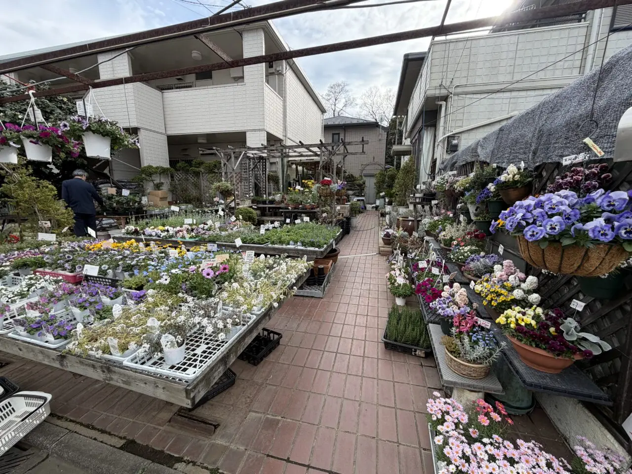 フォーシーズン