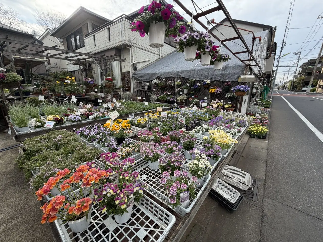 フォーシーズン