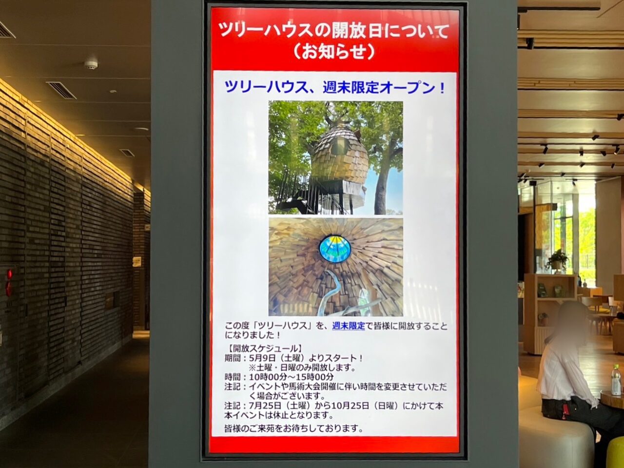 ツリーハウス