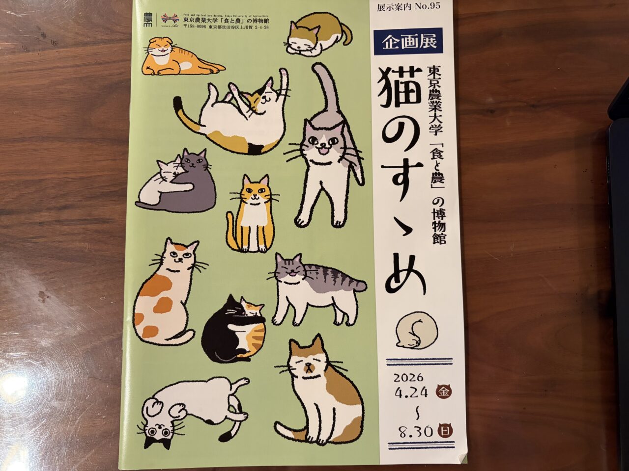 猫のすすめ