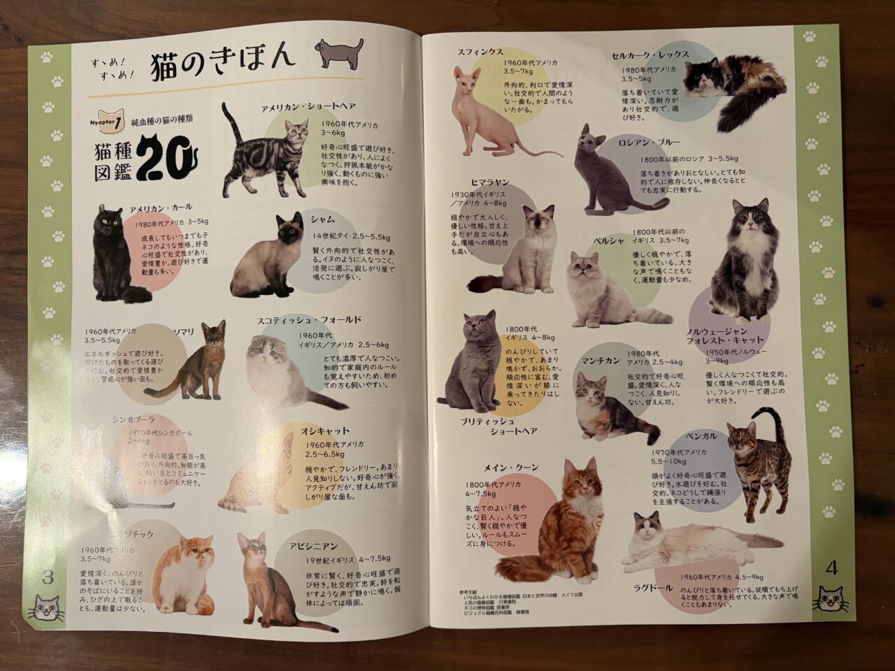 猫のすすめ