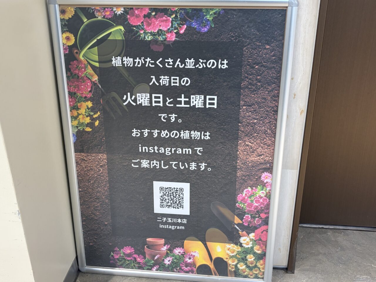 PROTOLEAF