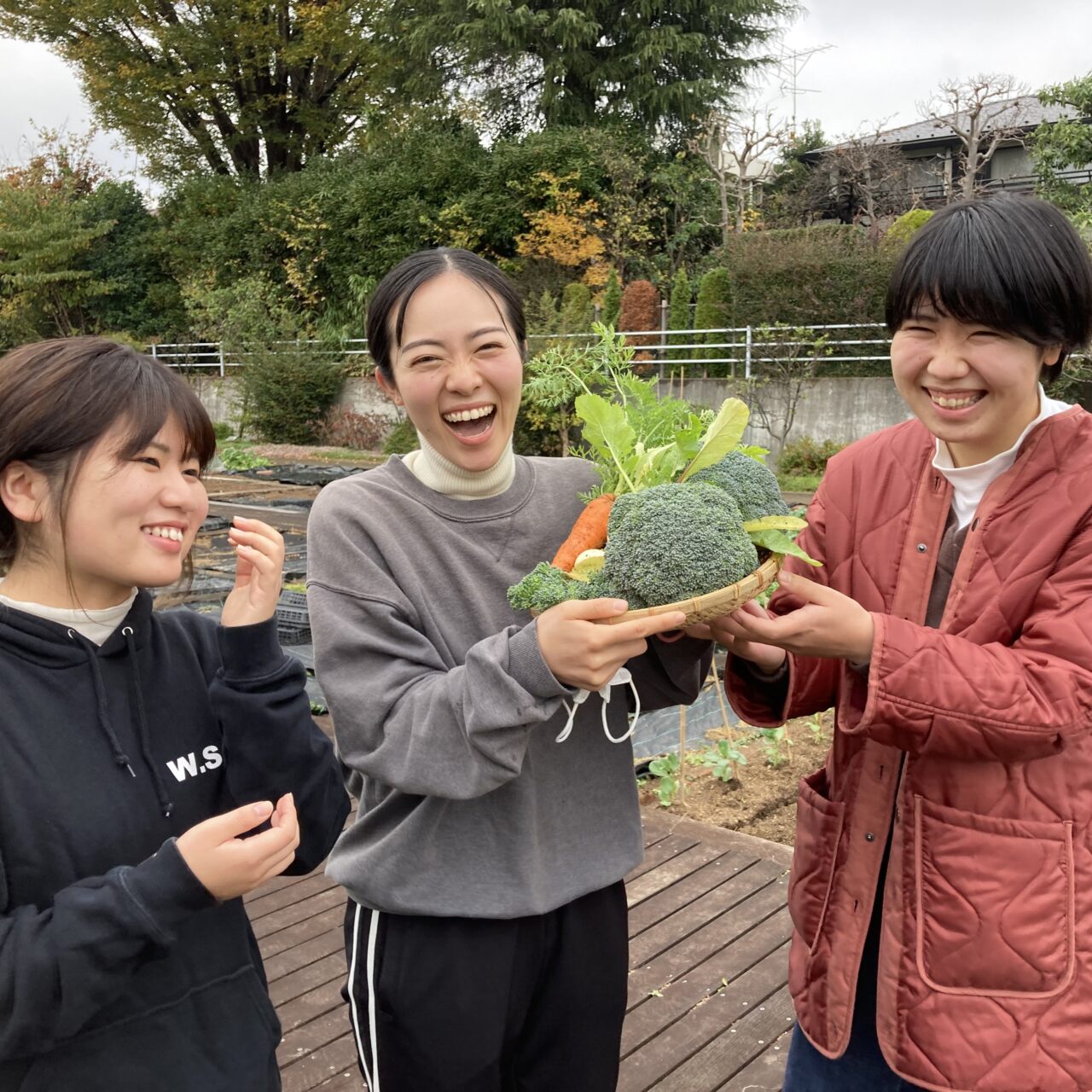ハナノヒファーム