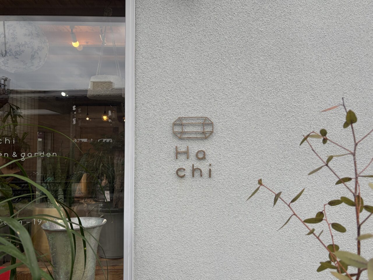 Hachi