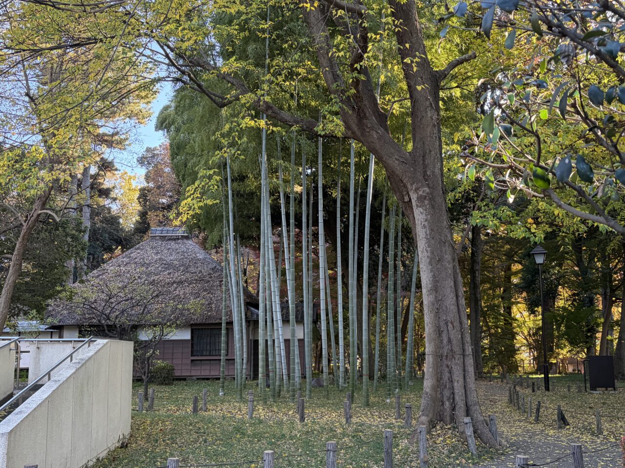 芦花公園